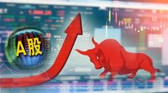 A股股票回购一览：15家公司披露回购进展