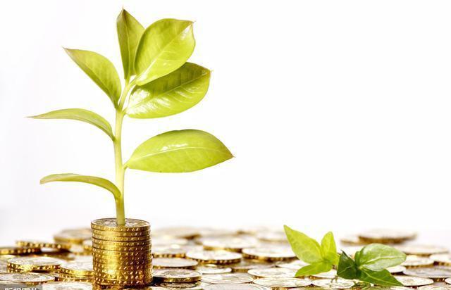 金融腐败的4种套路如何惩治?